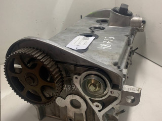 головка блока цилиндров Audi A6 C5 [рестайлинг] 2004, 1.8 л., бензин, BEX, AUQ, 058103373D, BAM, 058103373A, AJH, AMB, APX, AUG, AVJ, AWC, AWM, AWP, AWT, BFB, AGN