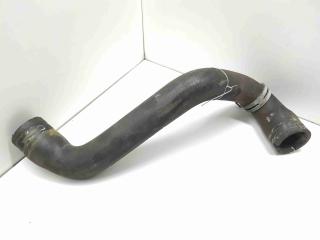 патрубок радиатора Ford C-Max 2 поколение 2011, 1.6 л., i, бензин, МКПП, передний привод, 8V618266BA, PHX117879