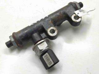 топливная рампа Jaguar S-Type 1 поколение 2004, 2.7 л., TD, дизель, АКПП, задний привод, 4R8Q9C066AA