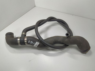 патрубок радиатора Mercedes-Benz CLK-Класс W208/A208 1998, 3.2 л., i, бензин, АКПП, задний привод, A2025014982