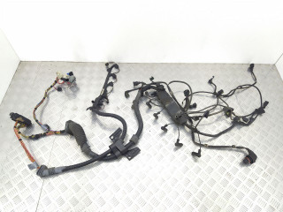 проводка двигателя BMW X5 E53 [рестайлинг] 2005, 3.0 л., TD, дизель, АКПП, полный привод, 12517796818, 7796818, 7790770