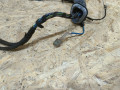 дверная проводка BMW 3 серия F30/F31/F34 F30 2013, 3.0 л., дизель, АКПП, черный, седан, задний привод, правый руль, 9286241, 61129286241 - фото №2
