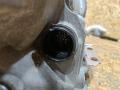 КПП автоматическая (АКПП) BMW X5 E70 2008, 3.0 л., дизель, АКПП, внедорожник 5 дв., правый руль, 24007572493, 6HP28, 7581582, 24007581582, 24007576111, 7576111, 7572493, 6HP28X - фото №16