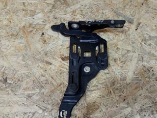 петля капота левая BMW X5 E70 2007, 3.0 л., D, M57 D30 (306D3), дизель, АКПП, черный, внедорожник 5 дв., полный привод, правый руль, 7148347, 41617208629, 7208629