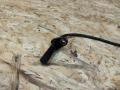 датчик ABS BMW X5 E70 2007, 3.0 л., M57 306 D3, дизель, АКПП, черный, внедорожник 5 дв., полный привод, правый руль, 6908705, 61126908705, 34526771703, 6771703, 34526760046 - фото №3