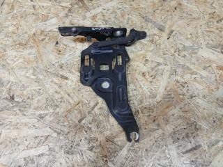 петля капота правая BMW X5 E70 2007, 3.0 л., D, M57 D30 (306D3), дизель, АКПП, черный, внедорожник 5 дв., полный привод, правый руль, 7148348, 41617208630, 7208630