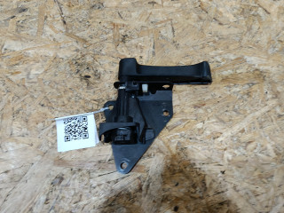 Ручка борта откидного BMW X5 E70 [рестайлинг] E70 2011, 4.0 л., дизель, АКПП, внедорожник 5 дв., полный привод, правый руль, 51247162149, 7162149, 975827