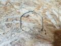 хомут (скоба) патрубка BMW 3 серия F30/F31/F34 F30 2014, 2.0 л., дизель, МКПП, седан, полный привод, правый руль - фото №2
