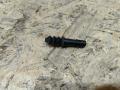 выключатель концевой (концевик) BMW 5 серия F07/F10/F11 F11 2011, 3.0 л., дизель, АКПП, черный, универсал, задний привод, 54554 - фото №2