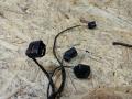 проводка бачка омывателя BMW X5 E70 2007, 3.0 л., M57 306 D3, дизель, АКПП, черный, внедорожник 5 дв., полный привод, правый руль, 9115107, 6973885, 61129115107 - фото №2