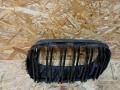 решетка радиатора BMW X5 E70 2007, 3.0 л., M57 306 D3, дизель, АКПП, черный, внедорожник 5 дв., полный привод, правый руль, 7171395 - фото №3