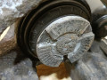 суппорт задний левый BMW 5 серия F07/F10/F11 F11 2011, 3.0 л., дизель, АКПП, черный, универсал, задний привод, 34216793041, 6793041 - фото №4