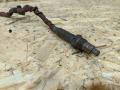 Датчик NOx BMW X5 F15 2014, 3.0 л., дизель, АКПП, коричневый, внедорожник 5 дв., полный привод, 8518789 - фото №2