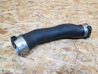 патрубок интеркулера BMW 3 серия F30/F31/F34 F30 2012, 2.0 л., N47 D20 C, дизель, МКПП, седан, задний привод, правый руль, 11618583389, 8583389, 11617810616, 7810616, 6961832