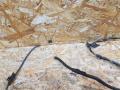 Проводка крышки багажника BMW 5 серия F10/F11 [рестайлинг] F10 2015, 3.0 л., дизель, АКПП, седан, задний привод, правый руль - фото №4