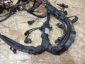 проводка двигателя BMW X6 E71 [рестайлинг] E71 2012, 5.0 л., дизель, АКПП, черный, внедорожник 5 дв., полный привод, правый руль, 738042106, 12518508106, 8508106, 12518508103, 8508103 - фото №6