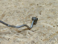 трубка кондиционера BMW 5 серия F07/F10/F11 F11 2011, 3.0 л., дизель, АКПП, черный, универсал, задний привод, 9120003, 64539120003 - фото №2
