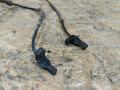 датчик ABS BMW 3 серия E90/E91/E92/E93 E92 2007, 3.0 л., дизель, АКПП, купе, задний привод, правый руль, 34526762465, 6762465 - фото №3