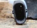 парктроник передний BMW 5 серия F07/F10/F11 F10 2012, 2.0 л., N47 D20 C, дизель, МКПП, седан, задний привод, правый руль, 9278497 - фото №4