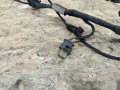 проводка датчиков парковки BMW 5 серия F07/F10/F11 F11 2011, 3.0 л., дизель, АКПП, черный, универсал, задний привод, 9256063, 61129256063, 61129241694, 9241694, 61129239781, 9239781, 61129218998, 9218998 - фото №2