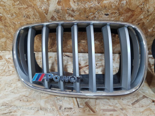 решетка радиатора BMW X5 E70 2007, 4.8 л., бензин, АКПП, серебро, внедорожник 5 дв., полный привод, правый руль, 7171396, 51137171396, 5113O7171396, 51317185224, 7185224