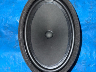 динамик двери Chevrolet Equinox 3 поколение [рестайлинг] 2022, 1.5 л., бензин, АКПП, синий, внедорожник 5 дв., передний привод, 84156556