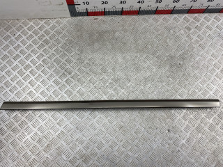 молдинг двери передней левой BMW X7 G07 2018, 3.0 л., B57 D30 C, дизель, arktikgrau brill. metallic (c27), 51138092880