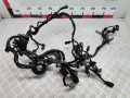 проводка Peugeot 207 1 поколение 2007, 1.4 л., МКПП, хетчбэк 5 дв., 5969C3 - фото №2