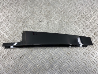 молдинг двери задней левой BMW X7 G07 2018, 3.0 л., B57 D30 C, дизель, arktikgrau brill. metallic (c27), 51357429389