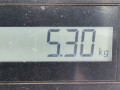 амортизатор передний правый Citroen Xsara Picasso 1 поколение [рестайлинг] 2006, 1.6 л., МКПП, минивэн, 5202PK - фото №7
