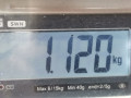 корпус масляного фильтра BMW X3 E83 2006, 2.0 л., МКПП, внедорожник 5 дв., 11427805407 - фото №6