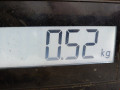 защита арок передняя левая (подкрылок) Nissan X-Trail T30 2003, 2.5 л., МКПП, внедорожник 5 дв., 638418H900 - фото №4