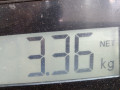 амортизатор задний левый Nissan Micra 3 поколение (K12) 2003, 1.2 л., МКПП, хетчбэк 5 дв., 56210AX627 - фото №5
