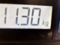 маховик Audi A3 8P/8PA [рестайлинг] 2008, 2.0 л., робот, хетчбэк 3 дв., 03G105266BK - фото №3