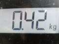 переключатель подрулевой (стрекоза) Peugeot 607 1 поколение 2002, 3.0 л., АКПП, седан, 625375 - фото №6