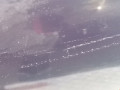 дверь задняя правая Renault Laguna 1 поколение [рестайлинг] 2000, 1.9 л., МКПП, хетчбэк 5 дв., 7751468113 - фото №7