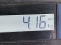 амортизатор задний левый Skoda Octavia 2 поколение (A5) 2007, 2.0 л., МКПП, хетчбэк 5 дв., 1K0513029EN - фото №4