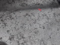 КПП роботизированная Volkswagen Tiguan 1 поколение 2010, 1.4 л., АКПП, внедорожник 5 дв., 0AM300170DX - фото №8