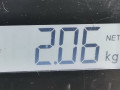 амортизатор задний правый Opel Corsa D 2010, 1.2 л., МКПП, хетчбэк 5 дв., 95527309 - фото №6