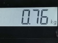 петля двери Honda Civic 7 поколение 2003, 1.6 л., МКПП, хетчбэк 3 дв. - фото №3