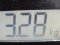 бампер задний Toyota Highlander 2 поколение [рестайлинг] 2011, 3.5 л., АКПП, внедорожник 5 дв., 5215948170 - фото №7