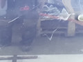 дверь задняя левая Volkswagen Sharan 1 поколение [рестайлинг] 2002, 2.0 л., МКПП, минивэн, 7M3833021F - фото №4