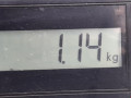 насос топливный Renault Clio 3 поколение [рестайлинг] 2012, 1.2 л., МКПП, универсал, 8200727740 - фото №6