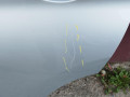 дверь задняя левая BMW X1 F48 2018, 2.0 л., бензин - фото №2