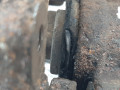 суппорт задний правый Land Rover Range Rover 3 поколение 2003, 3.0 л., АКПП, внедорожник 5 дв., SMC000210 - фото №7