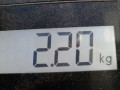 радиатор (основной) Mitsubishi Colt 6 поколение (Z20/Z30) 2005, 1.3 л., МКПП, хетчбэк 5 дв. - фото №3