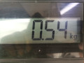 фонарь крышки багажника правый Ford Focus 2 поколение 2007, 2.0 л., МКПП, кабриолет, 1704953 - фото №6