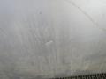капот Mercedes-Benz Vaneo W414 2003 - фото №2
