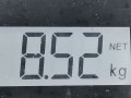 ступица передняя правая Audi A3 8P 2003, 1.6 л., МКПП, хетчбэк 3 дв., 1T0498621 - фото №6