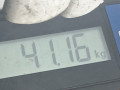 КПП механическая (МКПП) Opel Mokka 1 поколение 2014, 1.6 л., МКПП, внедорожник 5 дв., 25187331 - фото №7